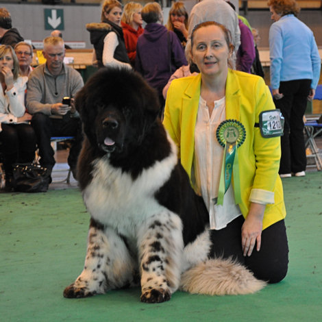 Best Puppy in Breed at Crufts 2012