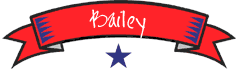 Bailey banner