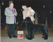 Colin with Norman handling goes winners dog and completes his US title before his second Birthday

