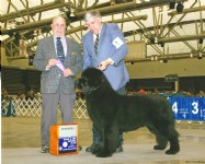 Another Winners dog for Colin and Norman