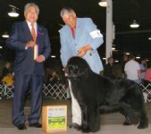 Another Best of Breed for Gavin and Norman